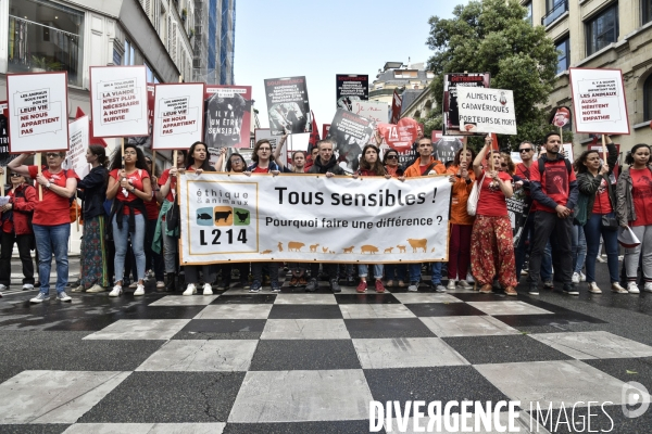 Marche L214 pour la fermeture des abattoirs 2019. Walk to the closure of slaughterhouses.