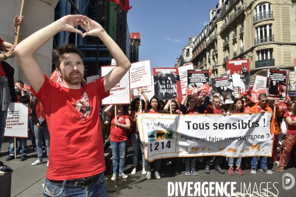 Marche L214 pour la fermeture des abattoirs 2019. Walk to the closure of slaughterhouses.