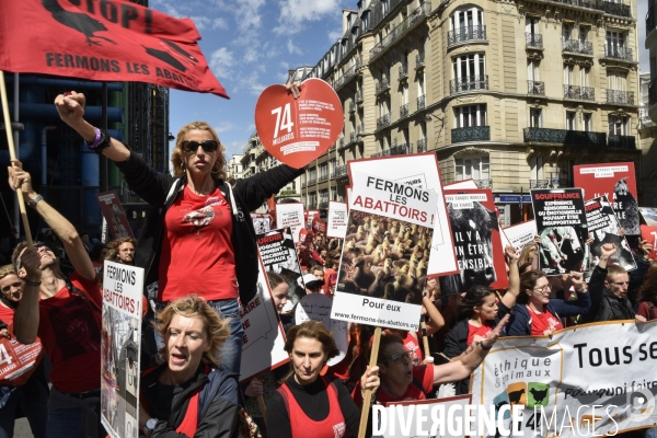 Marche L214 pour la fermeture des abattoirs 2019. Walk to the closure of slaughterhouses.