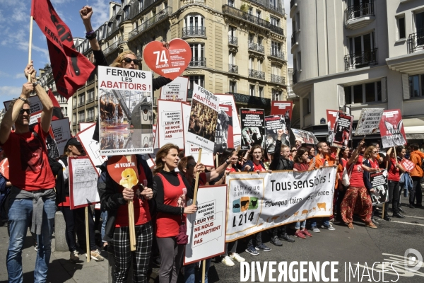 Marche L214 pour la fermeture des abattoirs 2019. Walk to the closure of slaughterhouses.