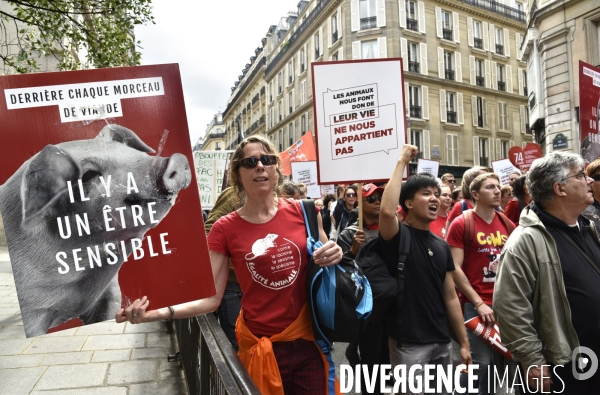 Marche L214 pour la fermeture des abattoirs 2019. Walk to the closure of slaughterhouses.