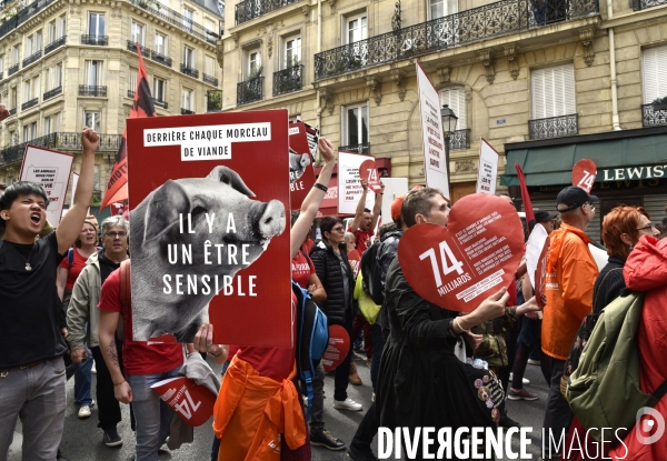 Marche L214 pour la fermeture des abattoirs 2019. Walk to the closure of slaughterhouses.