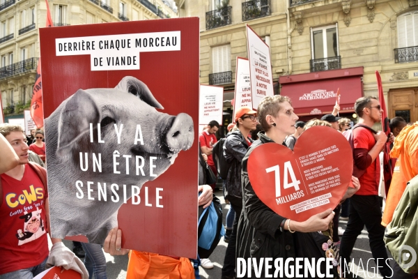 Marche L214 pour la fermeture des abattoirs 2019. Walk to the closure of slaughterhouses.