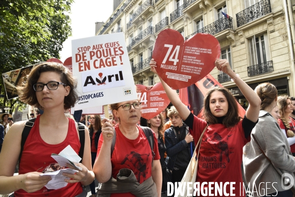 Marche L214 pour la fermeture des abattoirs 2019. Walk to the closure of slaughterhouses.