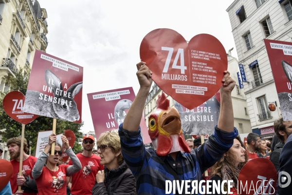 Marche L214 pour la fermeture des abattoirs 2019. Walk to the closure of slaughterhouses.