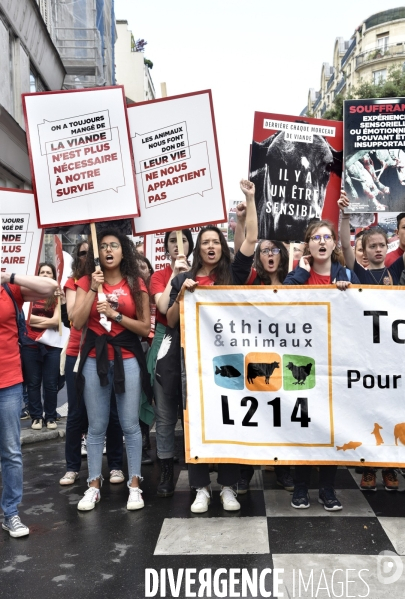 Marche L214 pour la fermeture des abattoirs 2019. Walk to the closure of slaughterhouses.