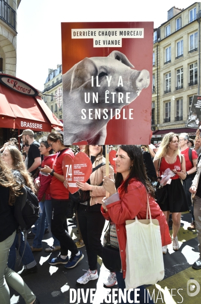 Marche L214 pour la fermeture des abattoirs 2019. Walk to the closure of slaughterhouses.