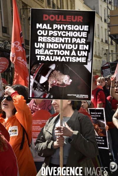 Marche L214 pour la fermeture des abattoirs 2019. Walk to the closure of slaughterhouses.