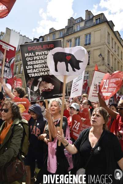 Marche L214 pour la fermeture des abattoirs 2019. Walk to the closure of slaughterhouses.