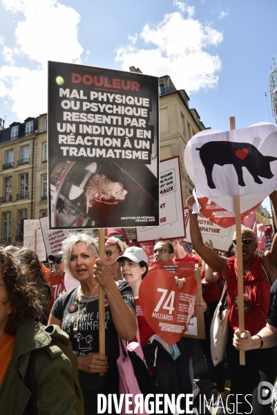 Marche L214 pour la fermeture des abattoirs 2019. Walk to the closure of slaughterhouses.