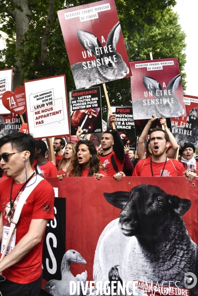 Marche L214 pour la fermeture des abattoirs 2019. Walk to the closure of slaughterhouses.