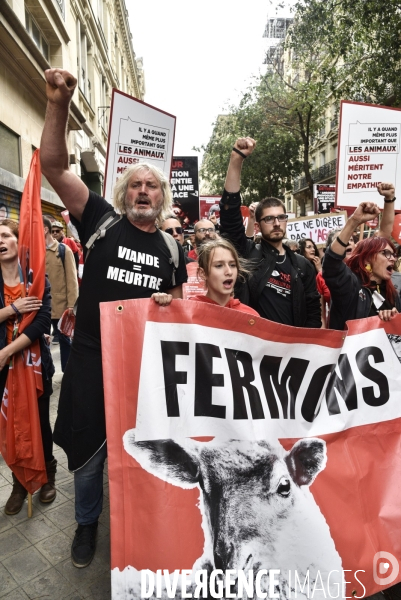 Marche L214 pour la fermeture des abattoirs 2019. Walk to the closure of slaughterhouses.