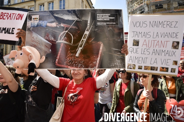 Marche L214 pour la fermeture des abattoirs 2019. Walk to the closure of slaughterhouses.