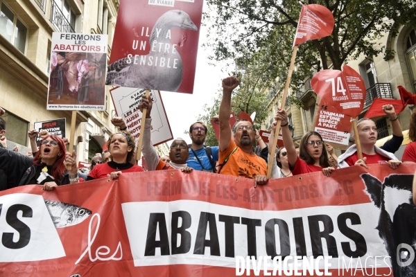 Marche L214 pour la fermeture des abattoirs 2019. Walk to the closure of slaughterhouses.