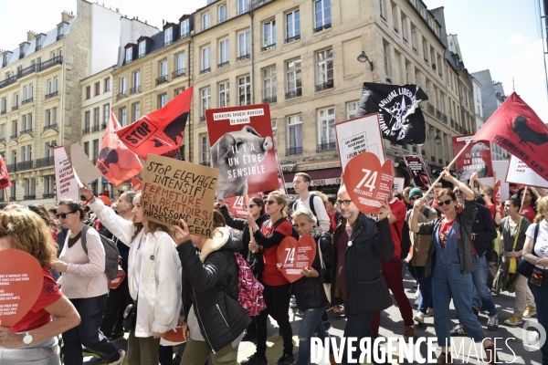 Marche L214 pour la fermeture des abattoirs 2019. Walk to the closure of slaughterhouses.