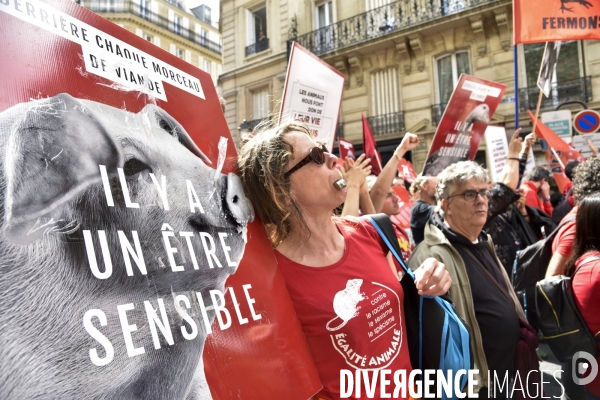 Marche L214 pour la fermeture des abattoirs 2019. Walk to the closure of slaughterhouses.