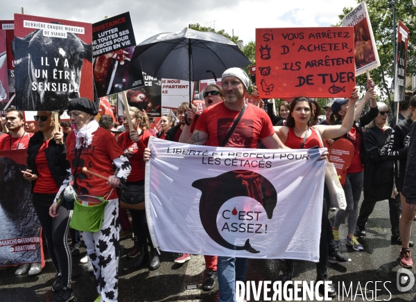 Marche L214 pour la fermeture des abattoirs 2019. Walk to the closure of slaughterhouses.