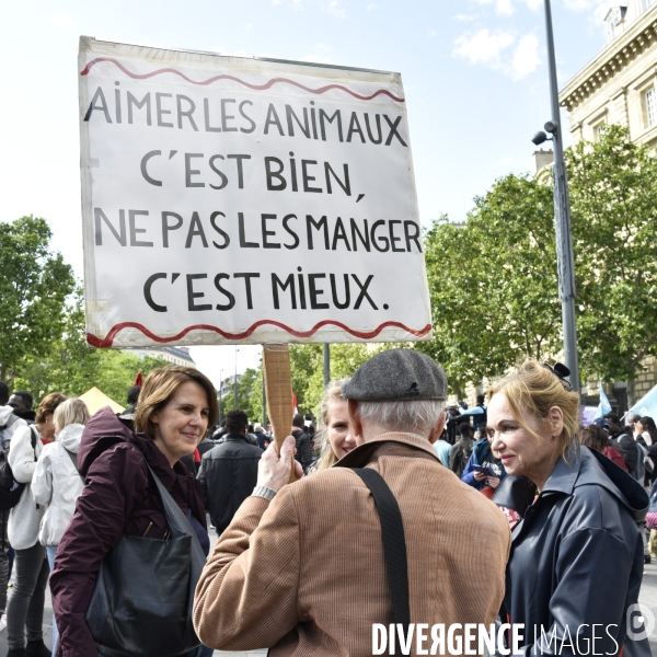 Marche L214 pour la fermeture des abattoirs 2019. Walk to the closure of slaughterhouses.