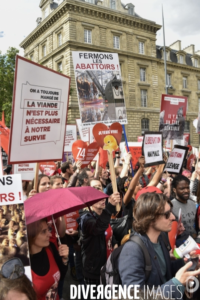 Marche L214 pour la fermeture des abattoirs 2019. Walk to the closure of slaughterhouses.