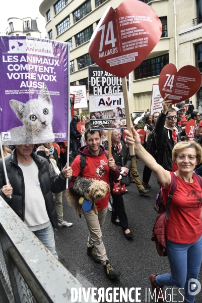 Marche L214 pour la fermeture des abattoirs 2019. Walk to the closure of slaughterhouses.