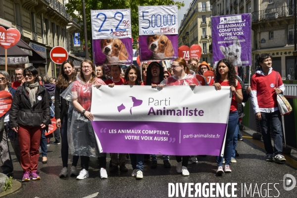 Marche L214 pour la fermeture des abattoirs 2019. Walk to the closure of slaughterhouses.