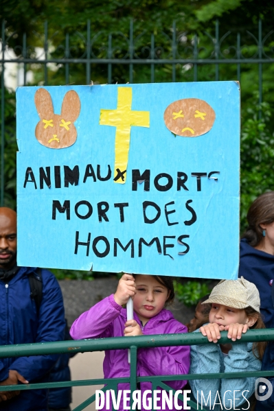 Ecole Julien Lacroix. Manifestation pour sauver la planète.