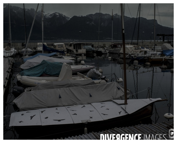 Riviera Vaudoise #13