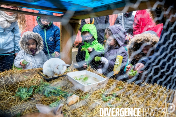 Une ferme urbaine pédagogique à Metz