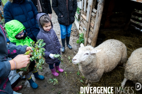 Une ferme urbaine pédagogique à Metz