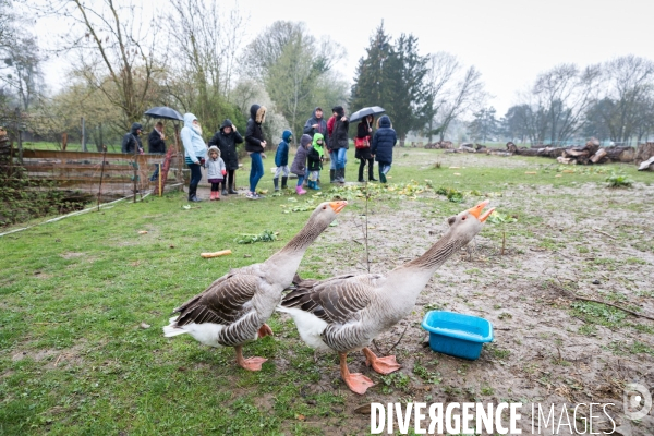 Une ferme urbaine pédagogique à Metz