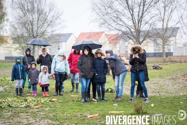 Une ferme urbaine pédagogique à Metz