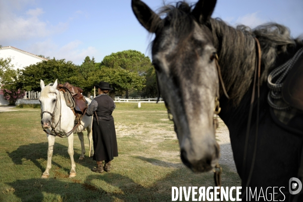 Campagne et terroir - CAMARGUE