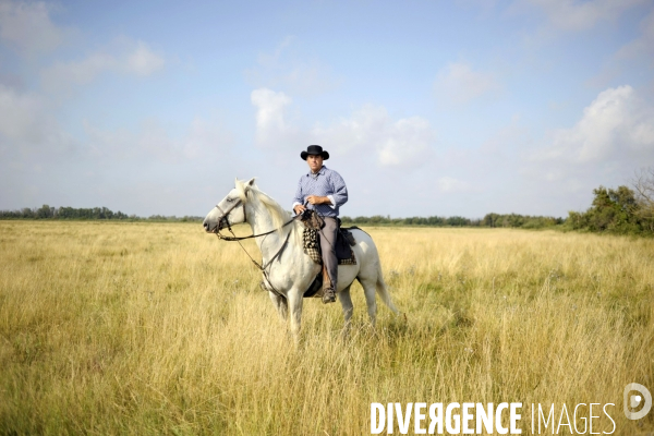 Campagne et terroir - CAMARGUE