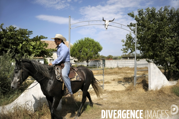 Campagne et terroir - CAMARGUE