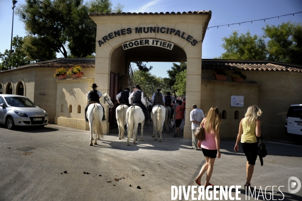 Campagne et terroir - CAMARGUE