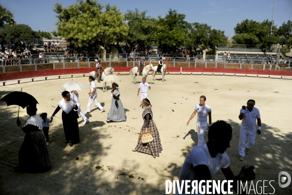 Campagne et terroir - CAMARGUE