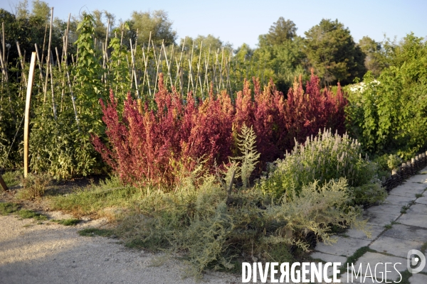 Campagne et terroir - CAMARGUE