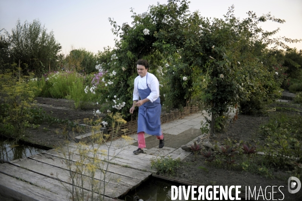 Campagne et terroir - CAMARGUE