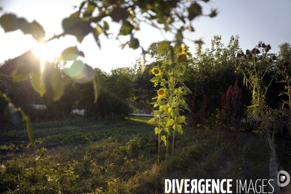 Campagne et terroir - CAMARGUE