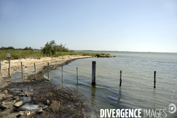 Campagne et terroir - CAMARGUE