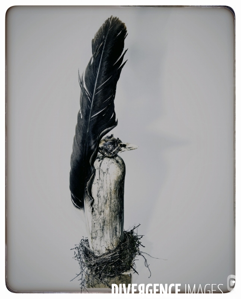 Piaf Story ( Atomisé )