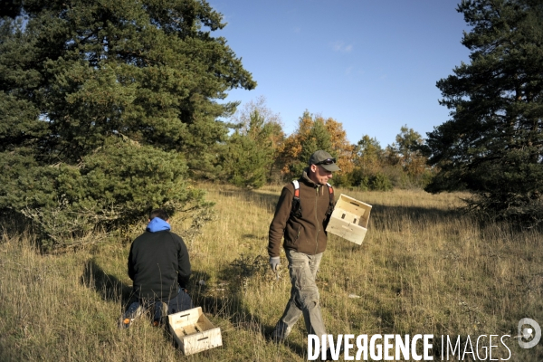 La guerre des champignons - LARZAC