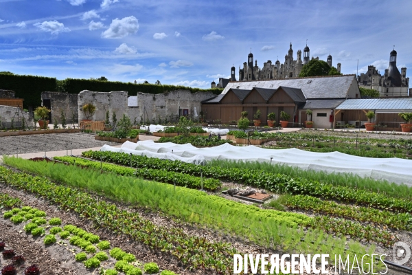 Les jardins potagers de Chambord