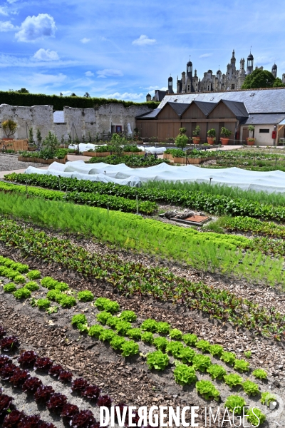 Les jardins potagers de Chambord
