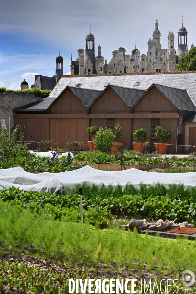 Les jardins potagers de Chambord