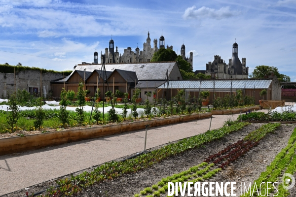 Les jardins potagers de Chambord