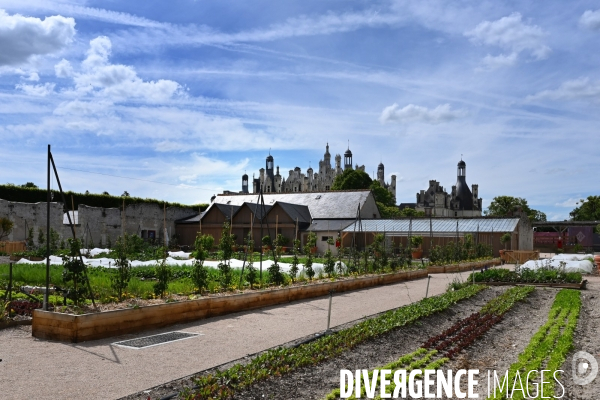 Les jardins potagers de Chambord