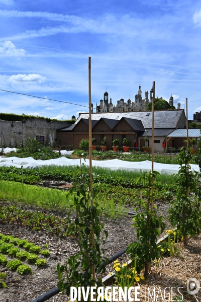 Les jardins potagers de Chambord