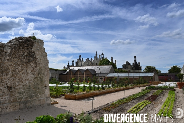 Les jardins potagers de Chambord