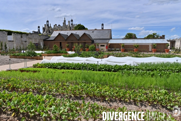 Les jardins potagers de Chambord